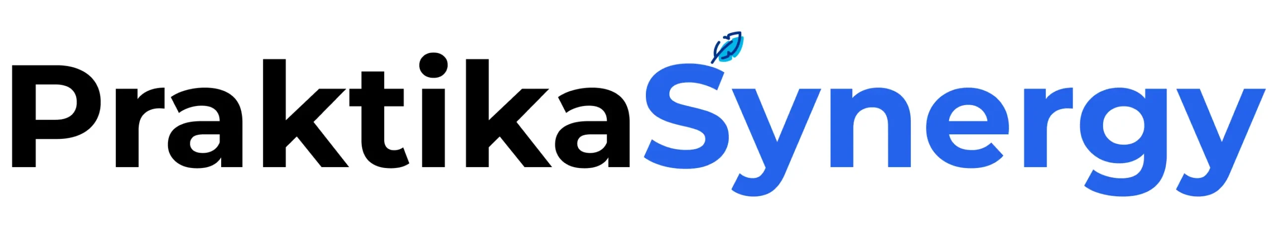 Praktika Synergy – помощь студентам Университета Синергия